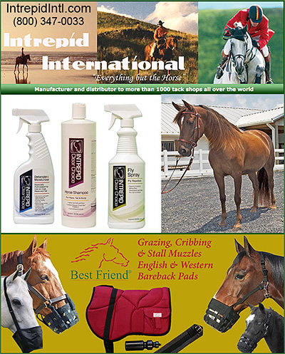 horse tack catalogs