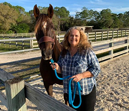 Contact Ann to advertise your horse product or horse service.
