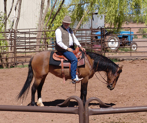 Horse Training Clinic