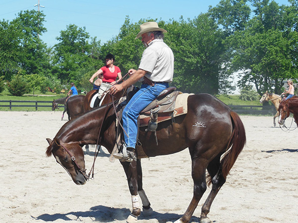 Disabled Veteran John Baird Horse Trainer