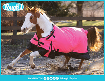 Tough 1 Horse Blankets
