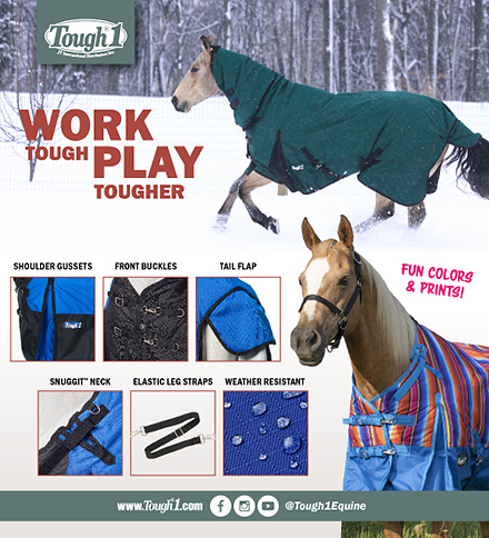 Blankets for Horse Therapy