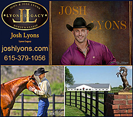 Josh Lyons Horse Trainer Certification Program