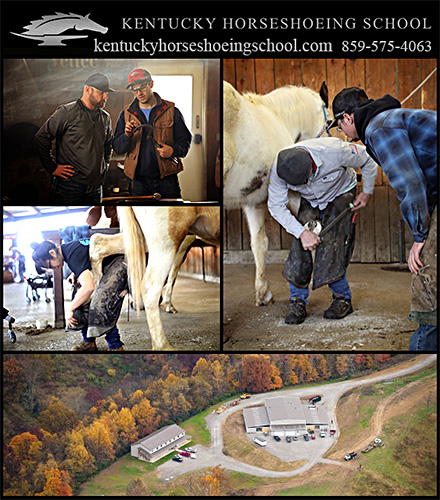 Nationally Accredited Kentucky Horseshoeing School