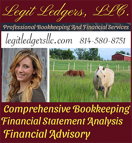 Legit Ledgers Financial Services for the Horse Owner