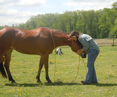 Horse human trust bond.