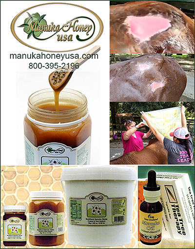 Manuka Honey USA for Horses