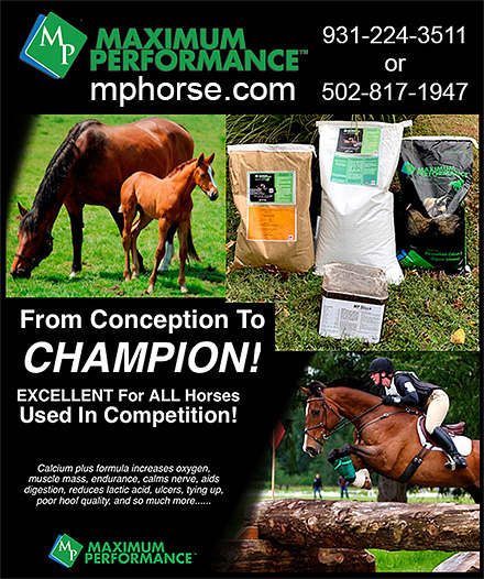 Maximum Performance Horse Supplements