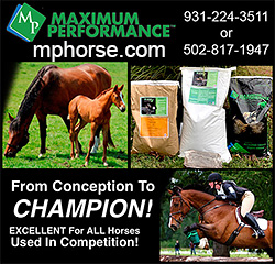 Maximum Performance Horse Supplements