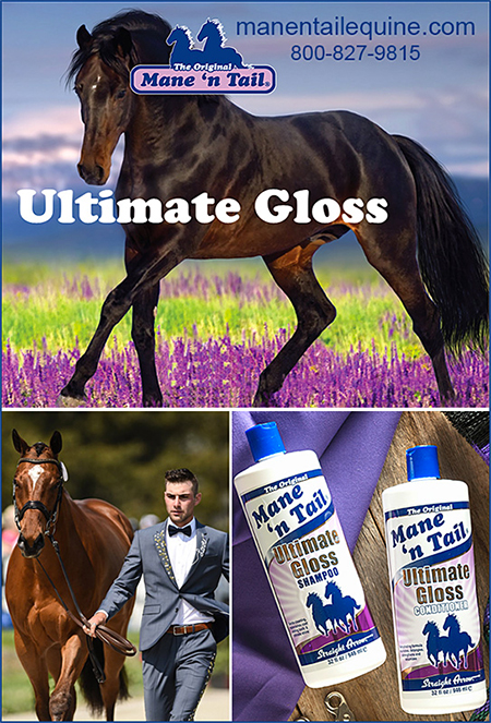 Ultimate Gloss Shampoo and Conditioner for Horses by Mane 'n Tail