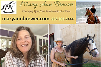 Mary Ann Brewer Relationship Based Horse Training