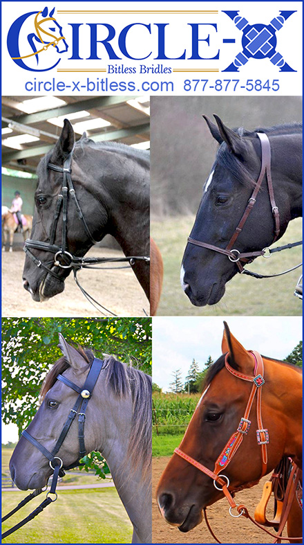 Bitless Bridle for Horses