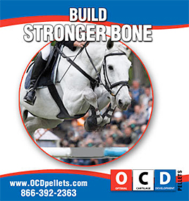 OCD Pellets for Horses