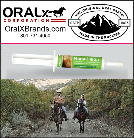 OralX Horse Health Oral Paste