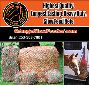 Slow Feeder for Horses by Orange Slow Feeder