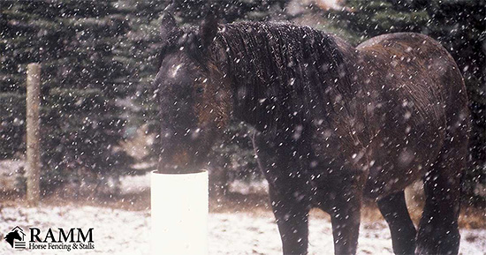 Drinking Post Automatic Horse Waterer