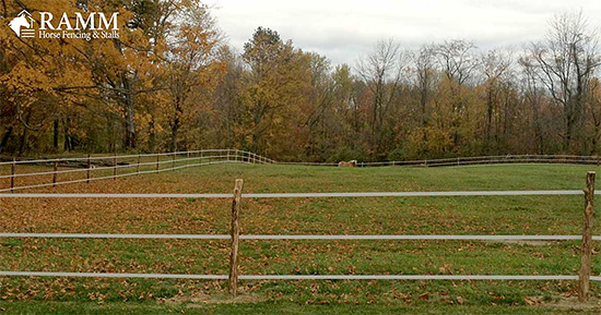 Horse Fencing from Ramm Fence
