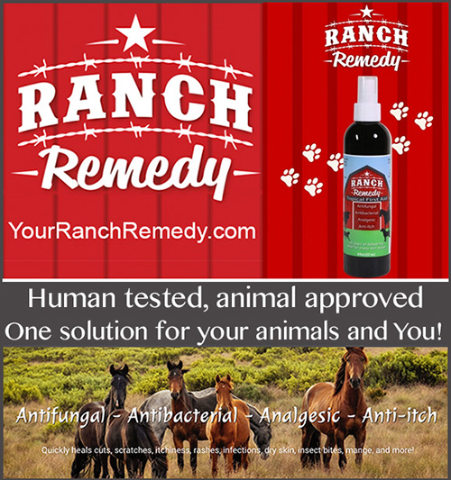 Ranch Remedy for Horse Wounds