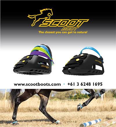 SCOOT BOOTS horse boots.