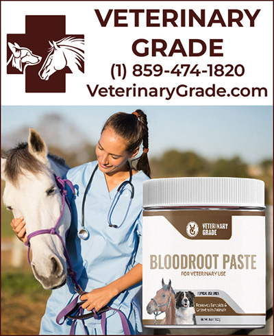 Veterinary Grade Bloodroot Paste Veterinary Grade Bloodroot Paste