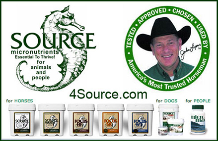 Micronutrient Supplement for Horses
