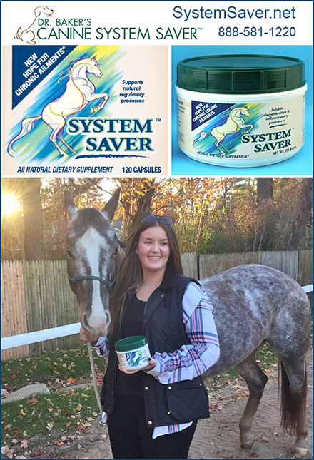 System Saver Horse Dietary Health Supplement
