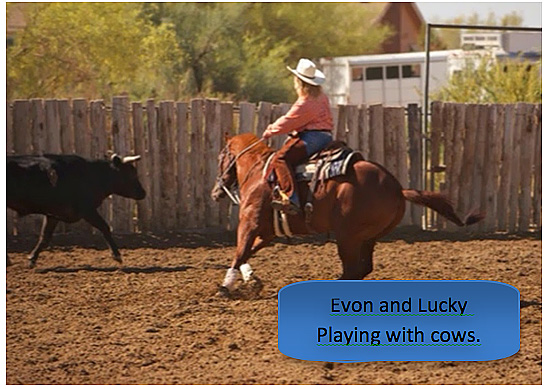 Evon Montgomery Horse Training Clinician