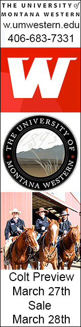 The University of Western Montana
