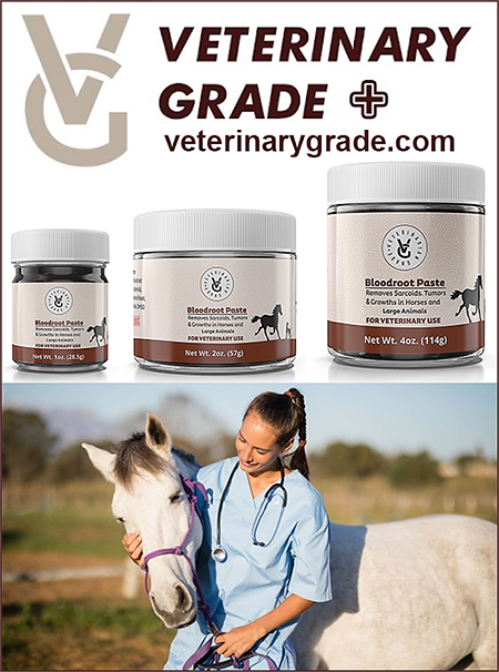 Bloodroot Paste for Treatment of Horse Sarcoid by Veterinary Grade, LLC