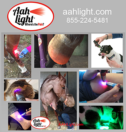 Aah Light Light Therapy for Horses and Dogs