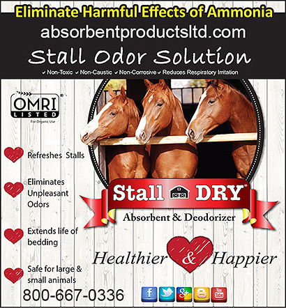 Stall Dry Absorbent and Deodorizer