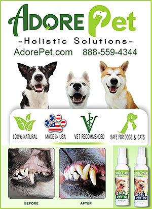 Adore Pet Dog Dental Care Sponsor
