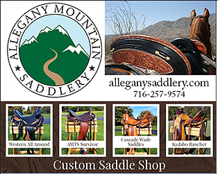 Custom Saddles by Allegany Mountain Saddlery