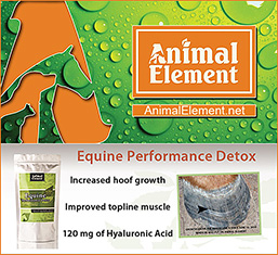 Animal Element Horse Supplements
