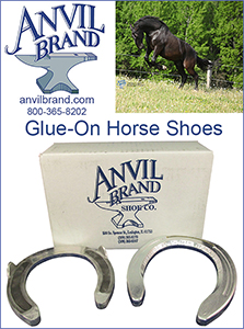 Anvil Brand  World's Best Hoof Care Store