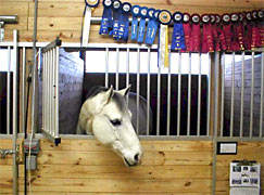 Horse Stalls 
