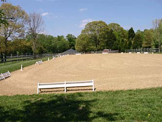 Horse Arena