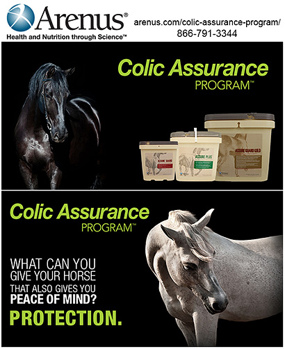 Arenus Horse Colic Assurance Program