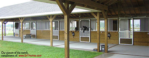 Armour Horse Stalls