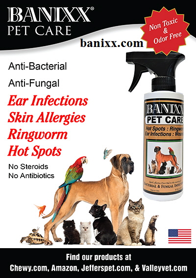 dog hot spot treatment amazon