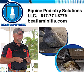 Equine Podiatry Solutions