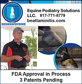 Equine Podiatry Solutions to beat Laminitis in Horses