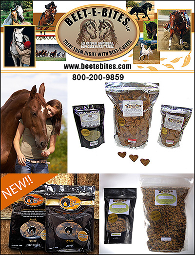 Beete E Bites Horse Treats