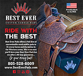 Best Ever Horse Saddle Pads