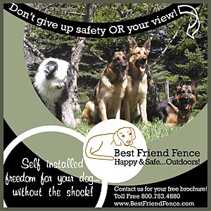 Best Friend Fence