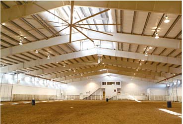 Cooling a large equestrian facility