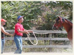 Learning from a Professional Trainer