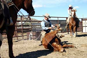 Learning to be a Cowboy.