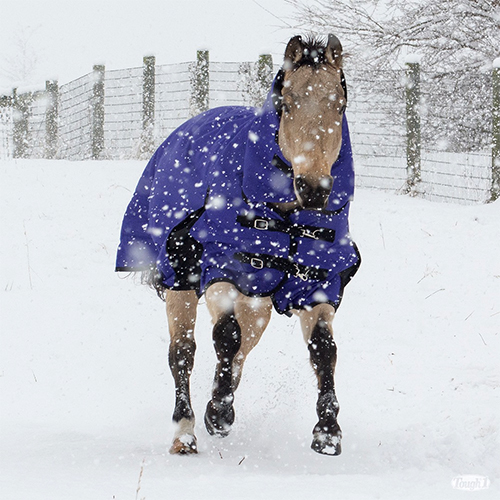 Tough1 Horse Blanket Tough1 Horse Blanket