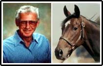 Don Blazer Horse Advice